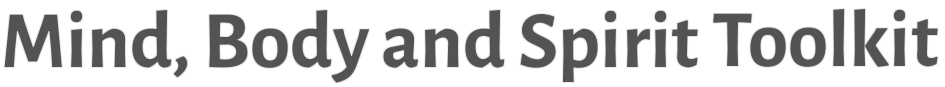 MBS Toolkit logo